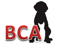 Behavior Clinic For Animals